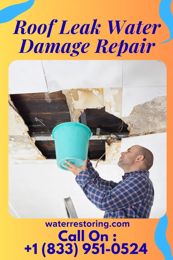 Roof Leak Water Damage Repair in Albany, MN