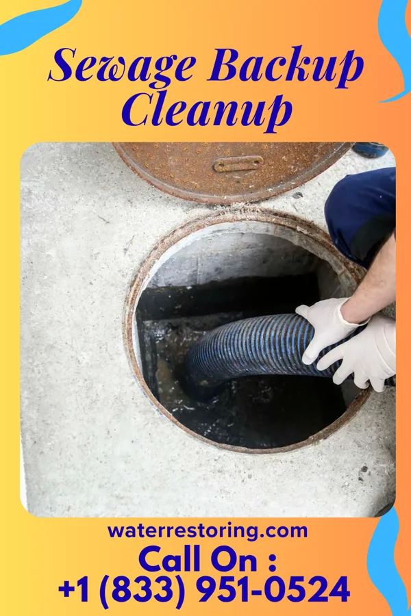 Sewage Backup Cleanup in Albany, MN